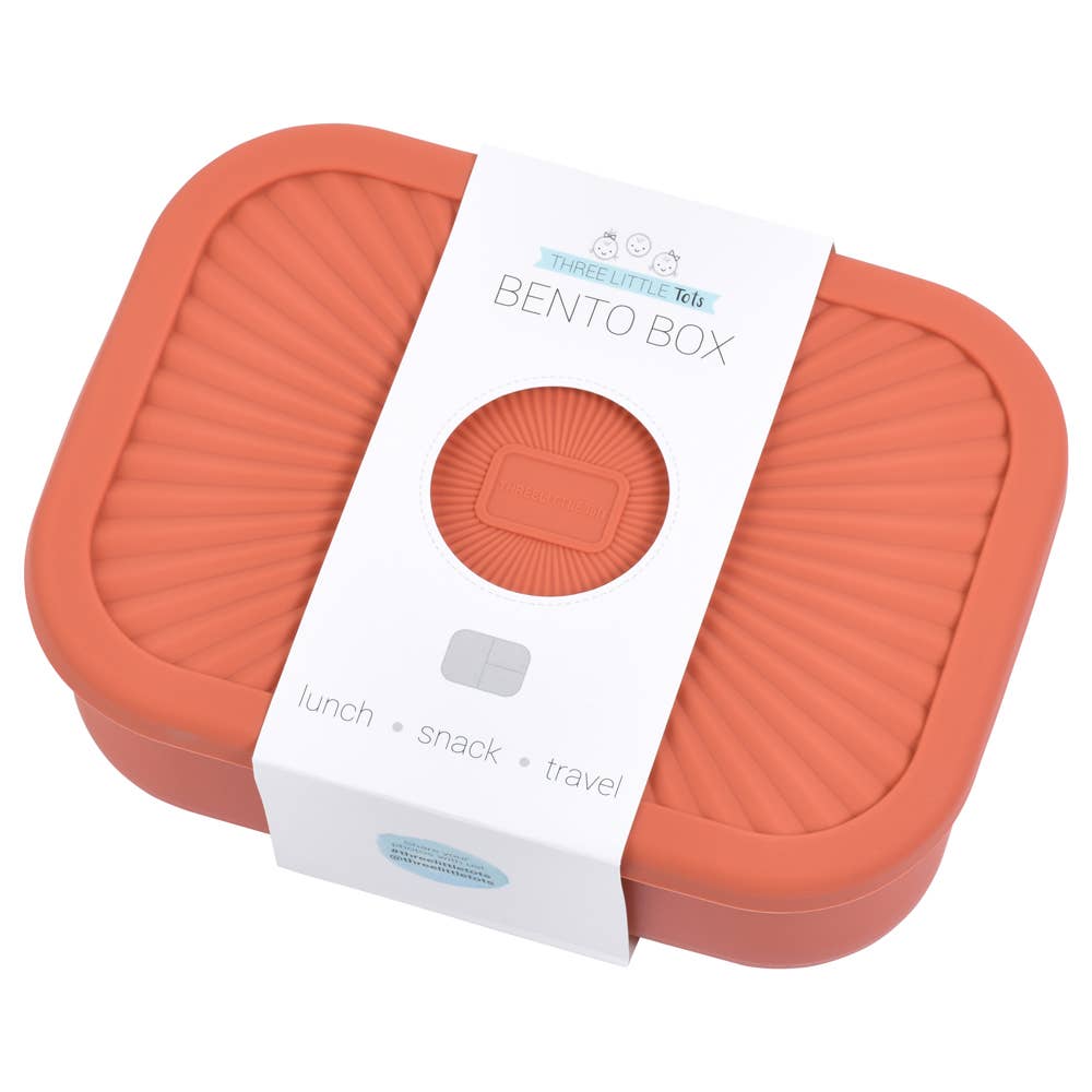 Terracotta Orange Silicone Bento Lunch & Snack Box