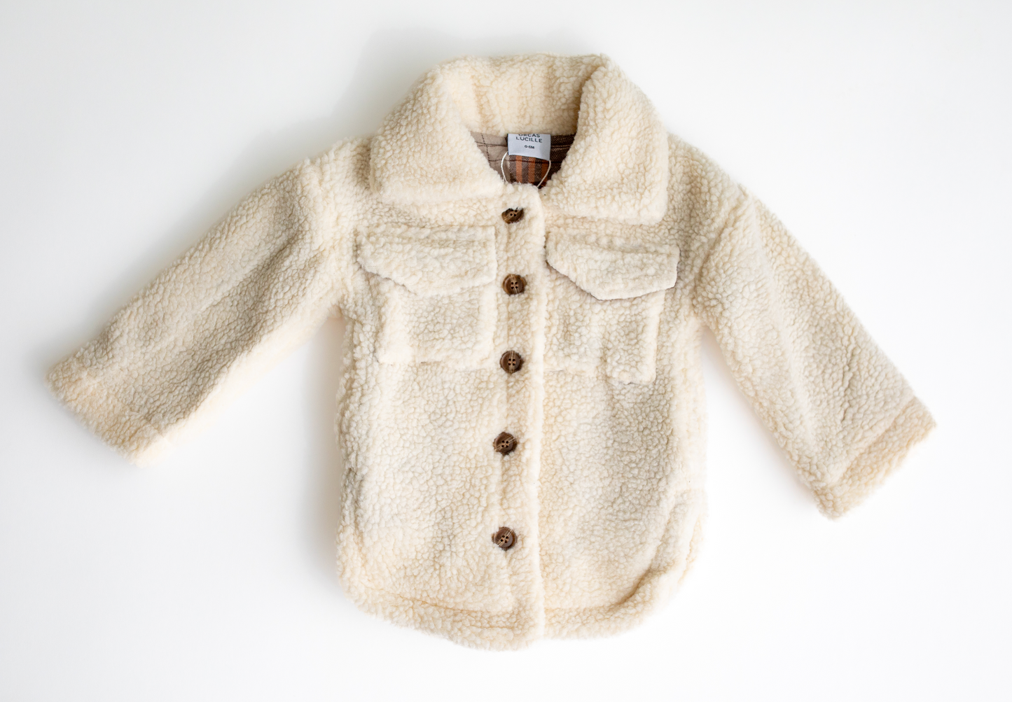 Teddy Shacket | Frosted Sugar