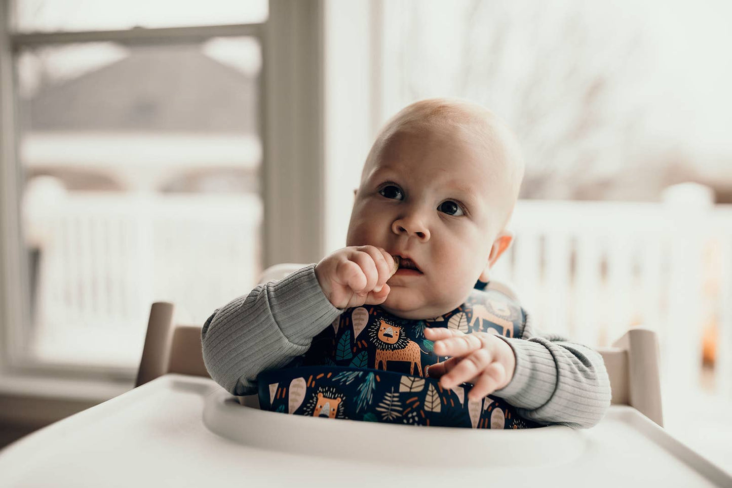 Zoo Lion Print Silicone Bib with Crumb Catcher