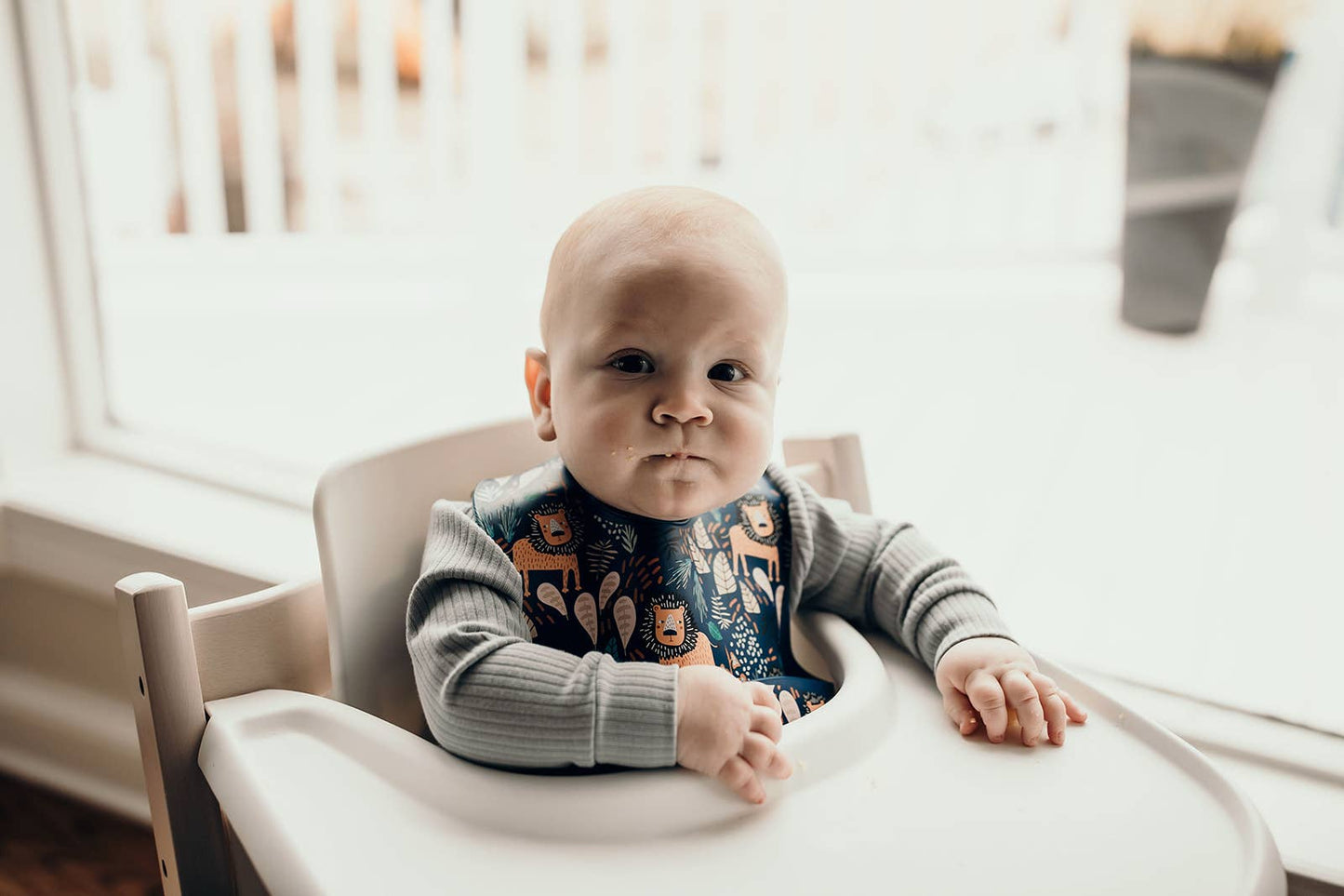 Zoo Lion Print Silicone Bib with Crumb Catcher