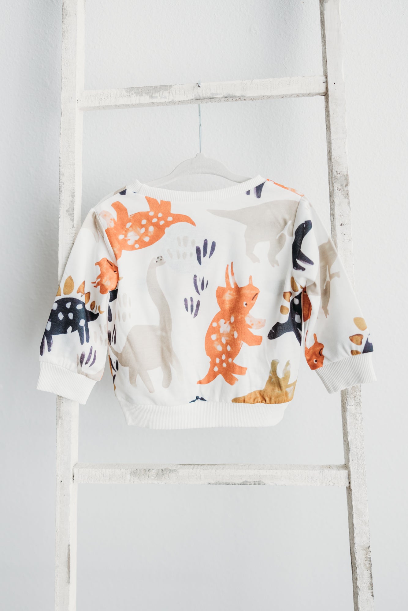 Cartoon Dinosaur Print Long-Sleeve Sweatshirt Toddler