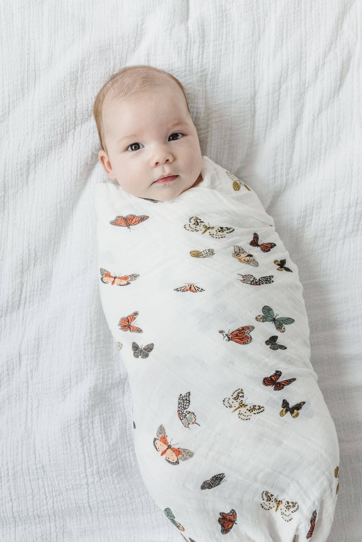Butterfly Migration Swaddle
